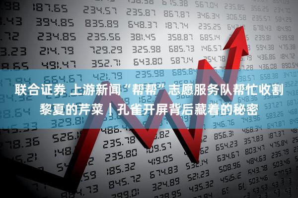 联合证券 上游新闻“帮帮”志愿服务队帮忙收割黎夏的芹菜｜孔雀开屏背后藏着的秘密