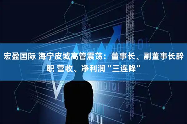 宏盈国际 海宁皮城高管震荡：董事长、副董事长辞职 营收、净利润“三连降”