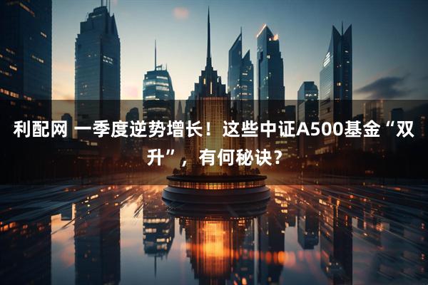 利配网 一季度逆势增长！这些中证A500基金“双升”，有何秘诀？