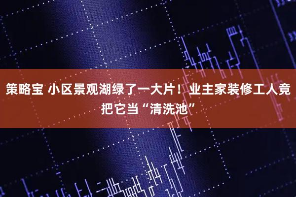 策略宝 小区景观湖绿了一大片！业主家装修工人竟把它当“清洗池”
