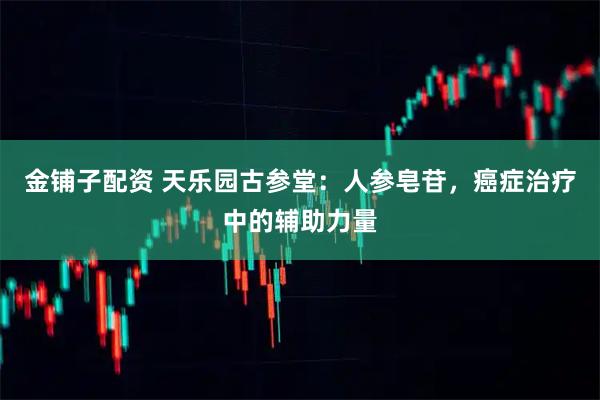 金铺子配资 天乐园古参堂:人参皂苷,癌症治疗中的辅助力量