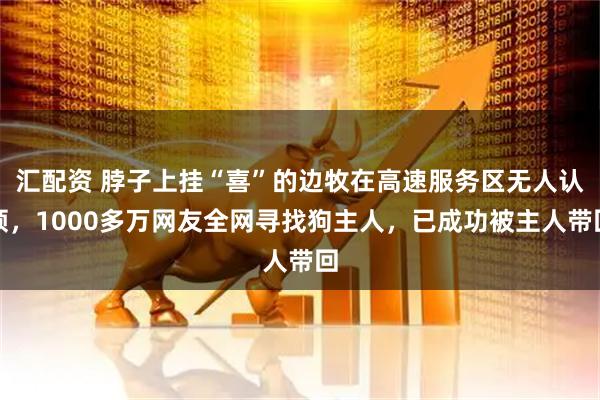 汇配资 脖子上挂“喜”的边牧在高速服务区无人认领，1000多万网友全网寻找狗主人，已成功被主人带回