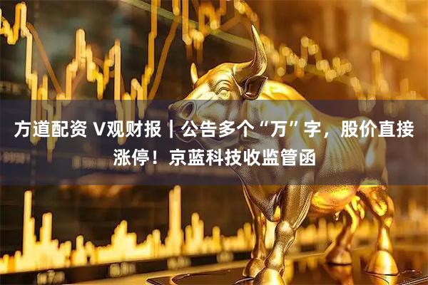 方道配资 V观财报｜公告多个“万”字，股价直接涨停！京蓝科技收监管函